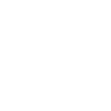 icons8-guarantee-100_6_1.png
